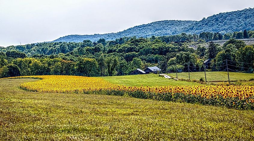 Farm in rural Hackettstown, New Jersey