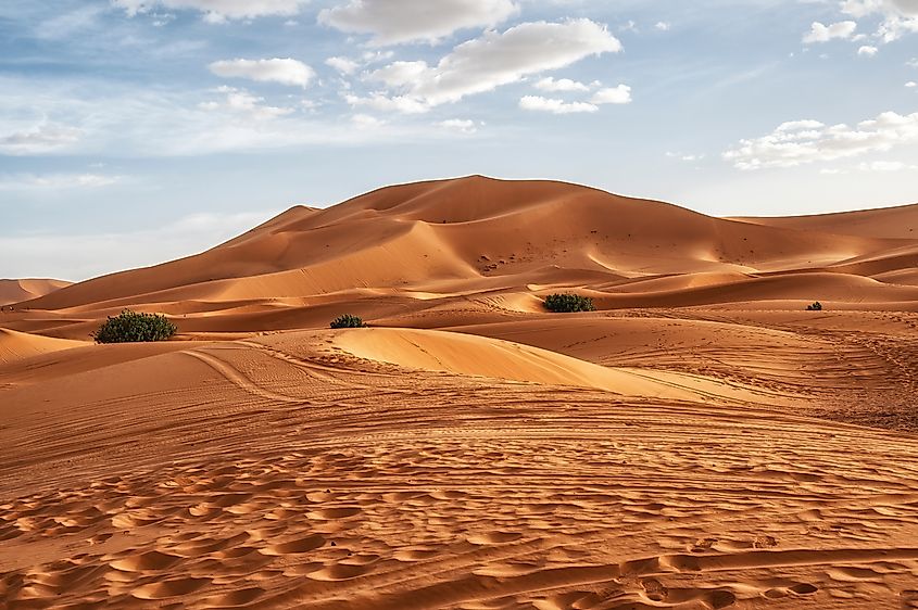 Sand dunes in the Sahara Desert in Merzouga near the Algerian border.