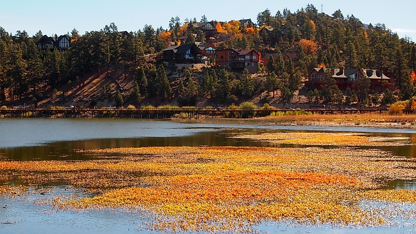 Beautiful fall colors at Big Bear Lake, California