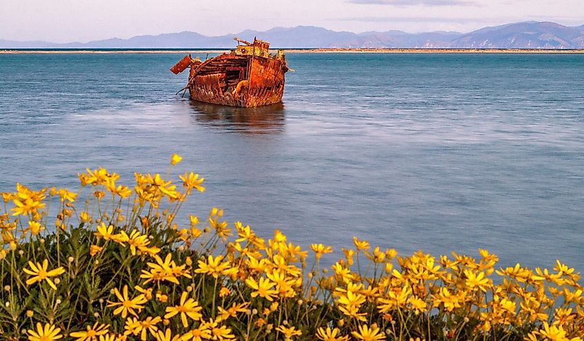 Shooting Janie Seddon shipwreck in Motueka New Zealand