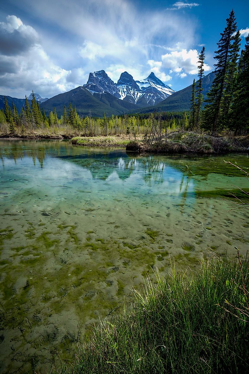 A view from Policeman Creek, one of Canmore's local greenspaces.