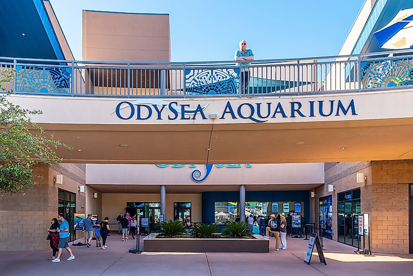 OdySea Aquarium in Scottsdale, Arizona