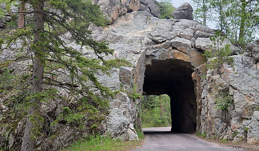 Tunnel on Needles Highway in South Dakota