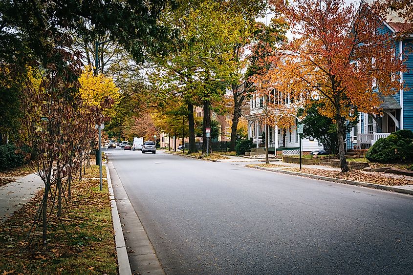 Fall foliage along Goldsborough Street, in Easton, Maryland.