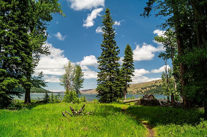 Hiking trail with evergreen trees in Wallowa Lake State Park in Oregon