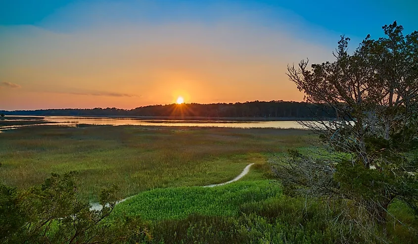 Sunset viewed from the observation tower at Skidaway Island State Park, Georgia.
