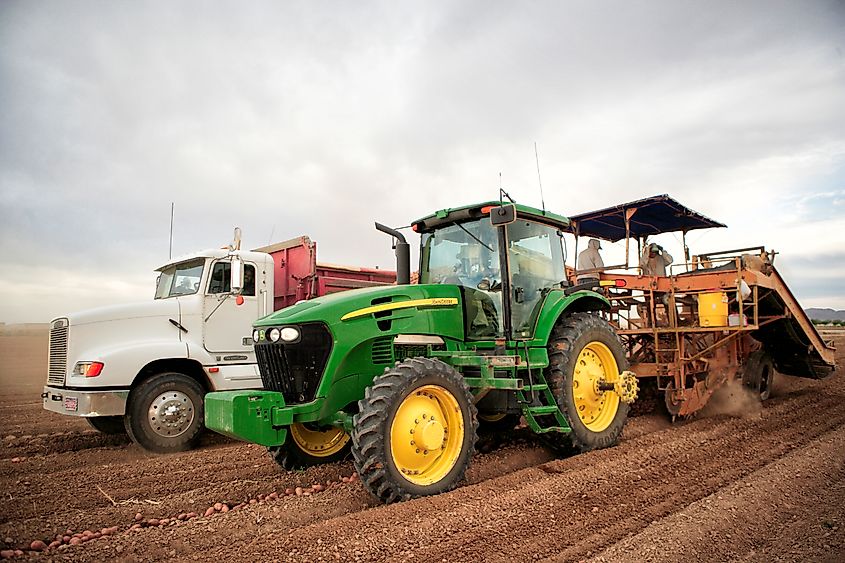 Aberdeen Idaho; Farmers and field hands use farm machinery in the field harvesting potatoes. Image Credit B Brown via shutterstock.