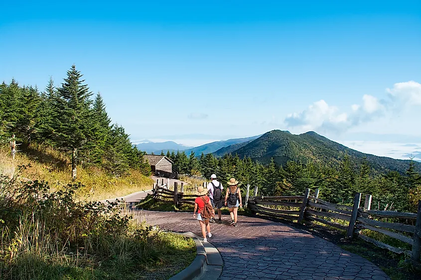 Mount Mitchell State Park, North Carolina