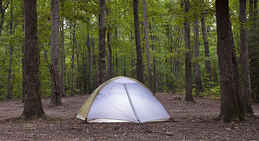 A camper's tent in the Uwharrie National Forest, North Carolina