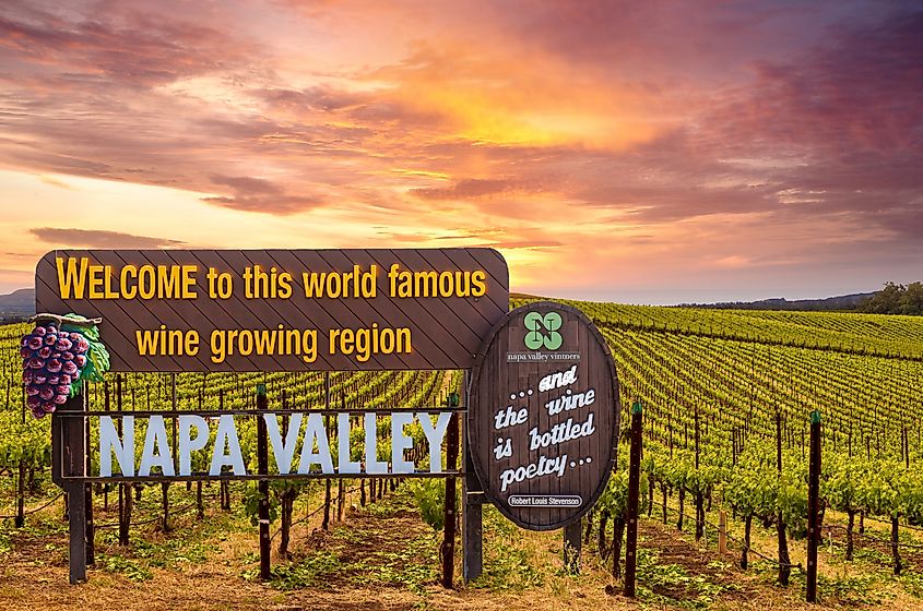 A beautiful sunrise casts a warm glow over the Napa Valley Wine Country sign