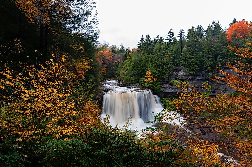 Blackwater Falls State Park, West Virginia