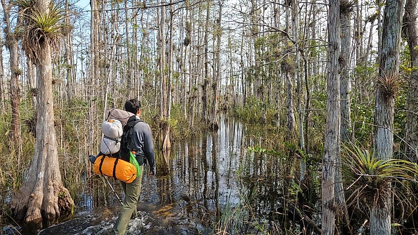 the Big Cypress National Preserve.