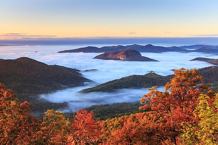 View of the southern Appalachian Blue Ridge Mountains cradled in fog as seen from Looking Glass Rock Overlook in autumn in North Carolina.