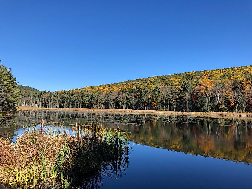 Fountain Pond State Park in the Berkshire Mountains near Great Barrington, Massachusetts.