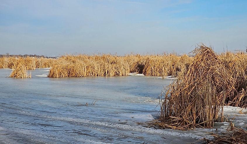 A frozen Clear Lake in Iowa