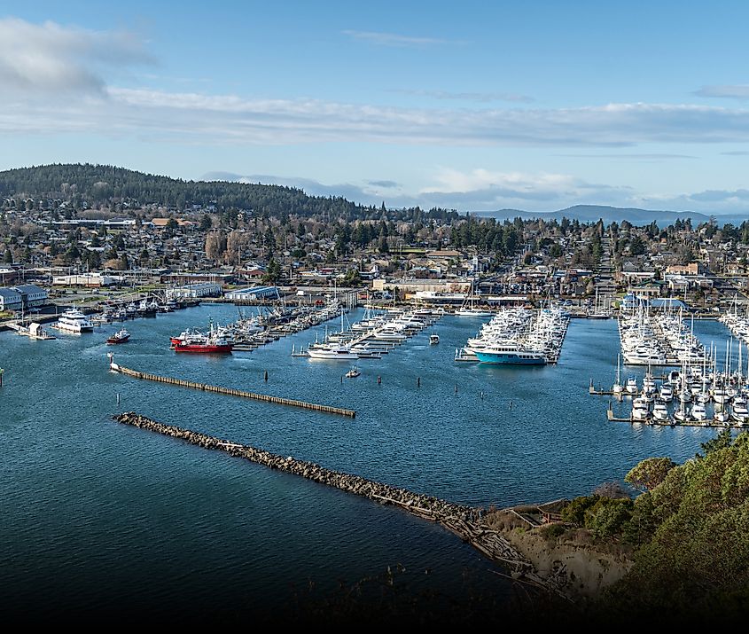 Docked boats at the marina with coastal residential area in Anacortes, Washington.