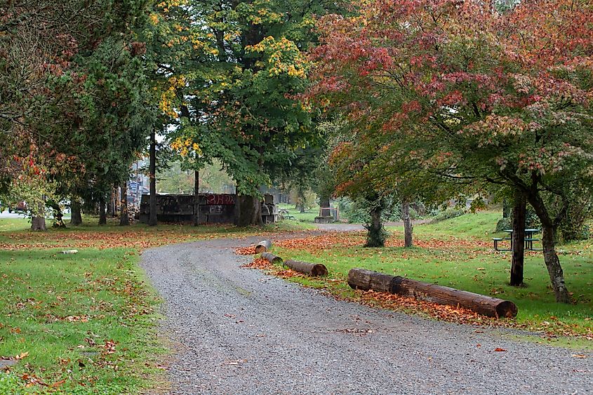 A gravel road winds through a roadside park in Gold Bar, Washington.