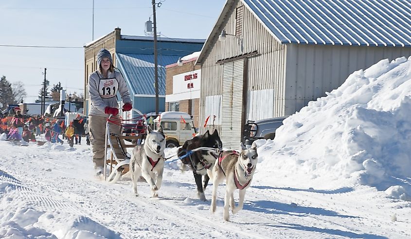 A musher and dog team compete in the American Dog Derby,The Oldest All-American Dog Sled Race in Ashton, Idaho.