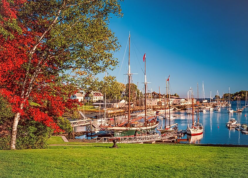 Bright red autumn trees on a grassy slope frame a harbor in Camden, Maine, with sailboats and fishing boats docked in the calm water.