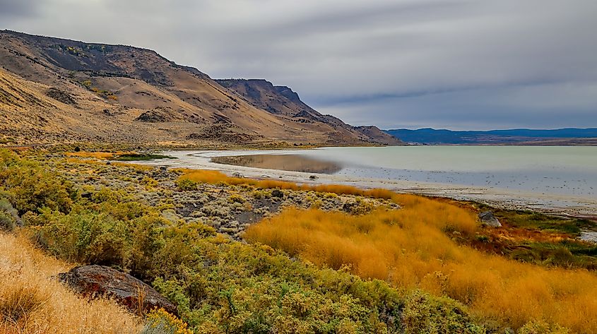 Lake Abert in the Oregon Outback