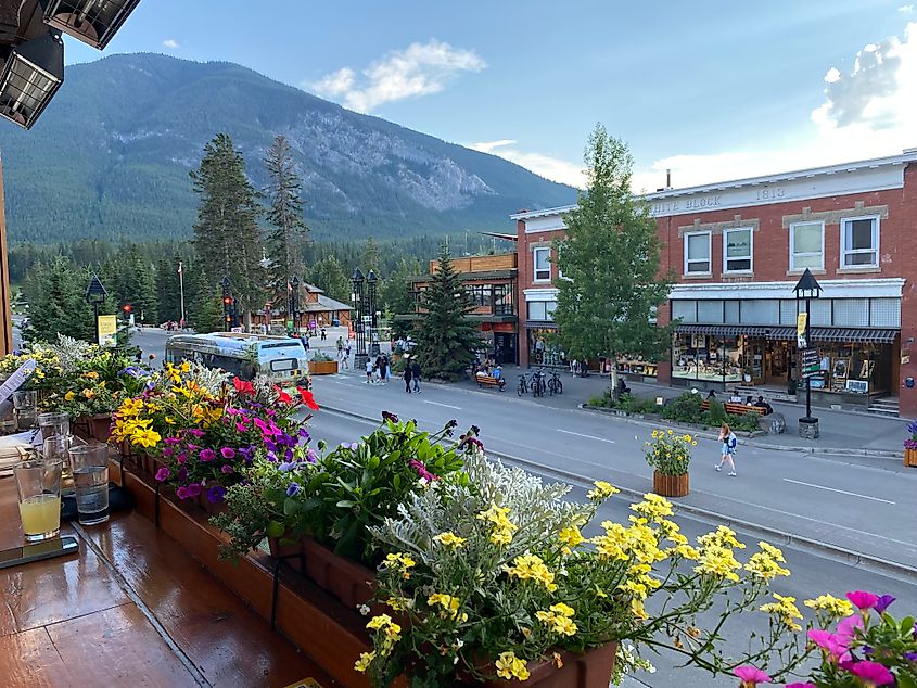 Looking down on beautiful Banff Avenue from atop the flower-lined 2nd-storey patio at Banff Ave Brewing Co.