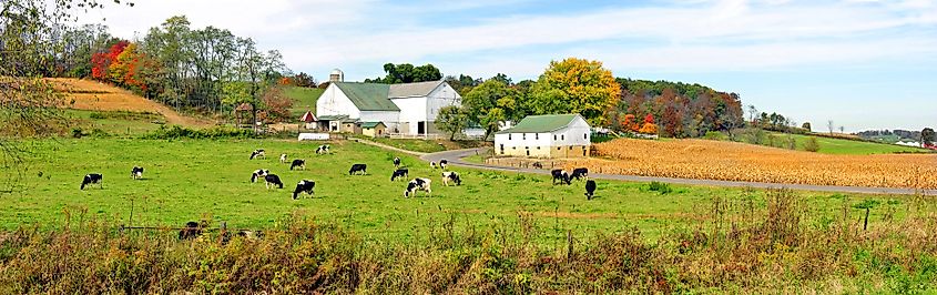 Panoramic scenic vista images of a typical Amish farm in Holmes County and Sugar Creek, Ohio. Editorial credit: Dennis MacDonald / Shutterstock.com