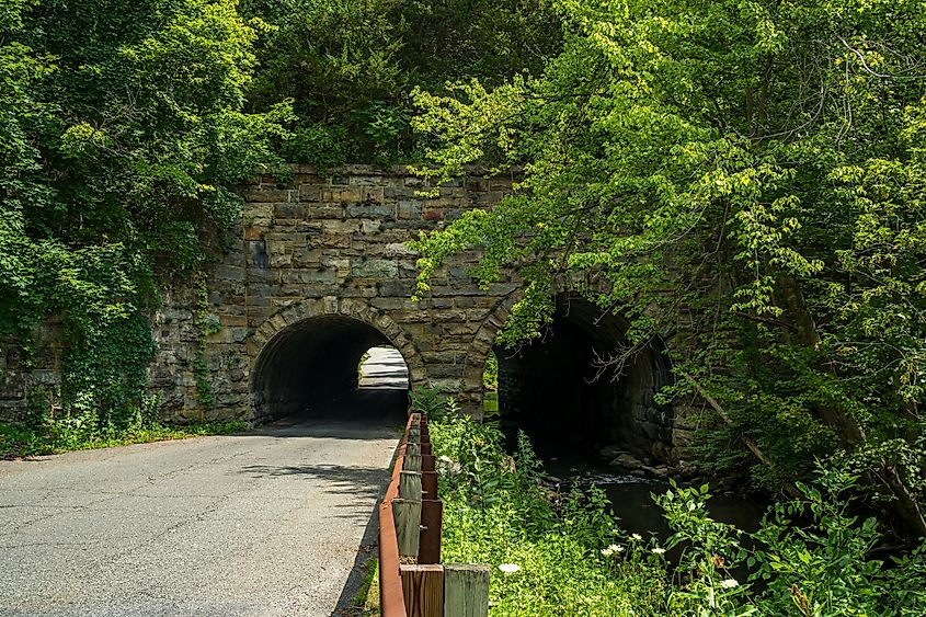 View of the Backwards Tunnel in Ogdensburg, New Jersey, showing the stone arch structure surrounded by trees and greenery