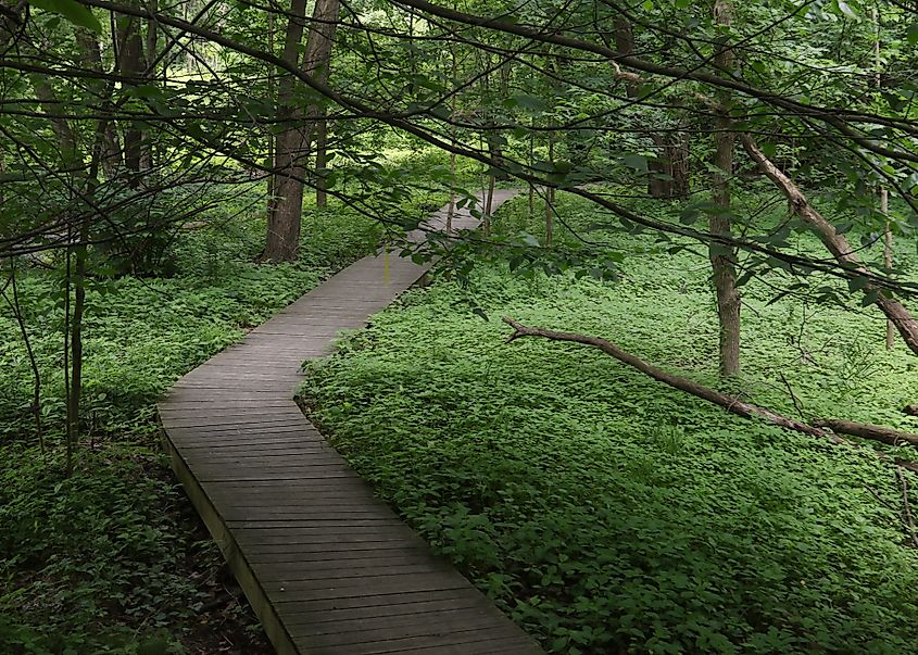 Boardwalk at Nature Center at Shaker Lakes, Ohio