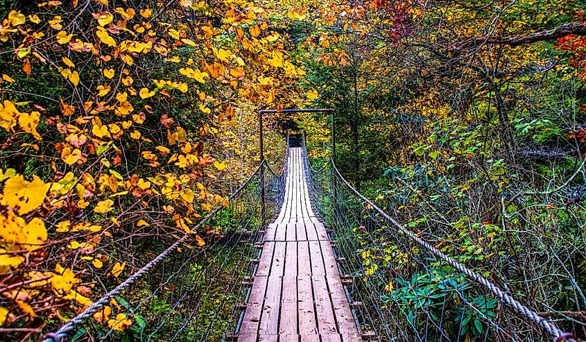 A Walk Through Fall, Fall Creek Falls State Park, Pikeville, Tennessee, United States