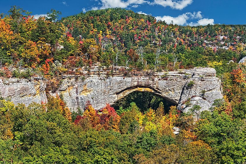 An arch in the Daniel Boone National Forest in Kentucky.