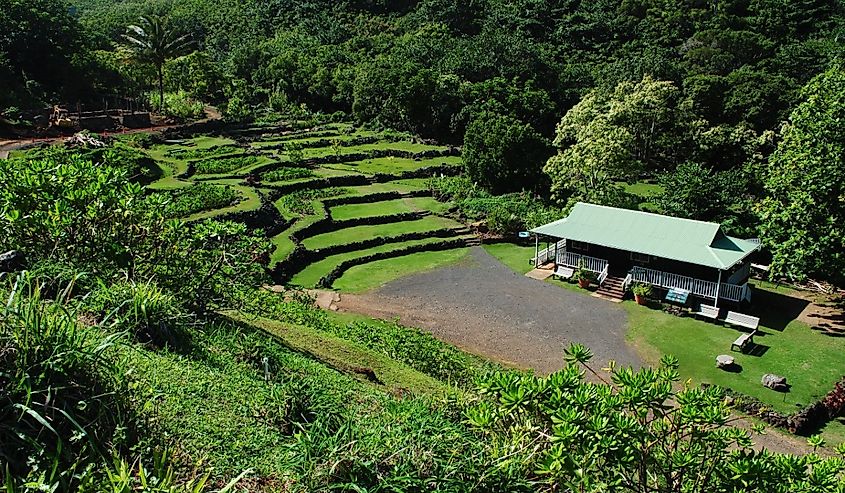 Limahuli Garden and Preserve. Kauai, Hawaii.