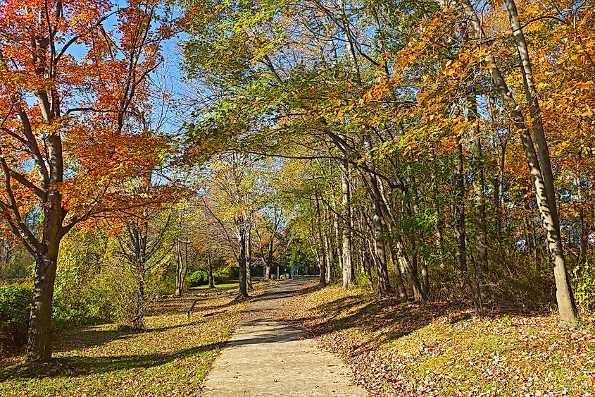 Walking path in Falls Church.