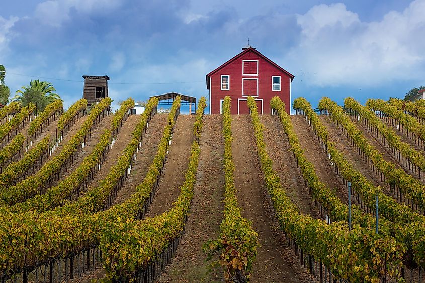 Winery in Healdsburg, California