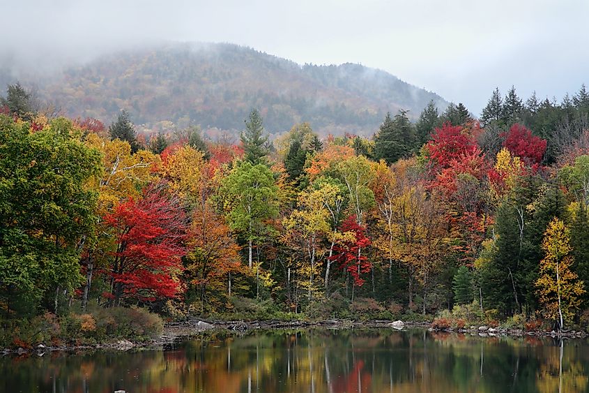 A foggy autumn morning in Tupper Lake, New York.