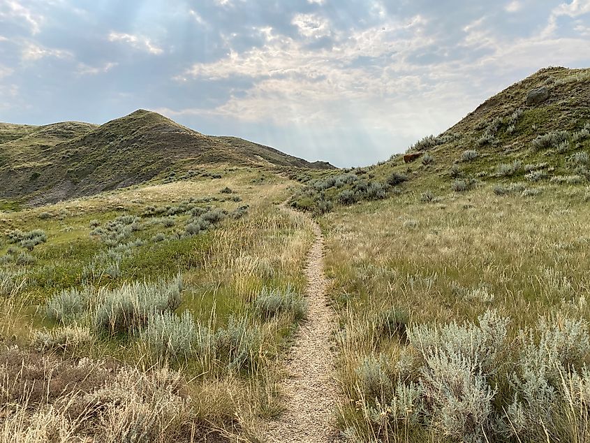 A narrow nature trail leads off into grassy hills as the sun shines down. 