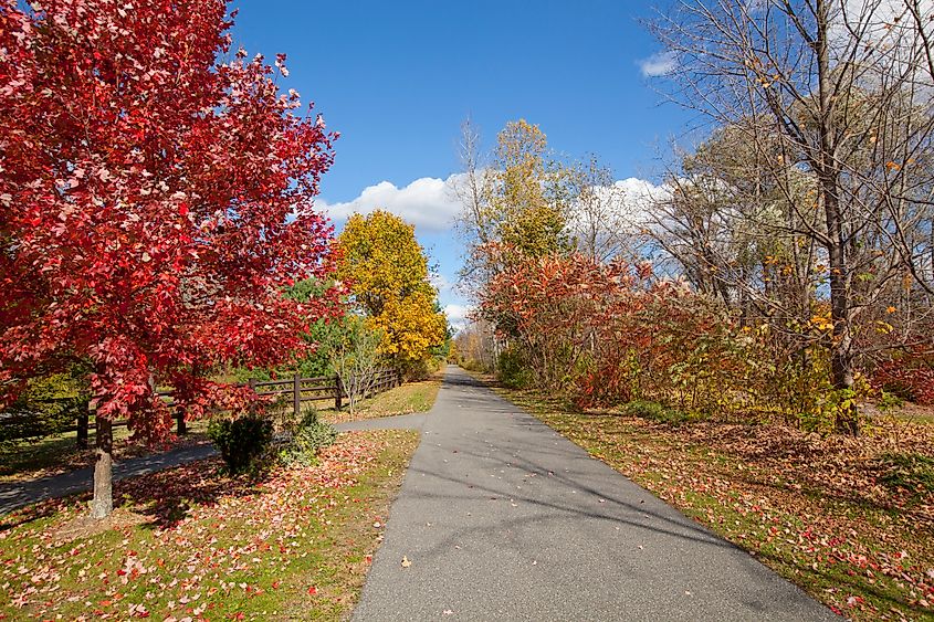 The Ashuwillticook Rail Trail is a bike-friendly trail near Great Barrington, Massachusetts.