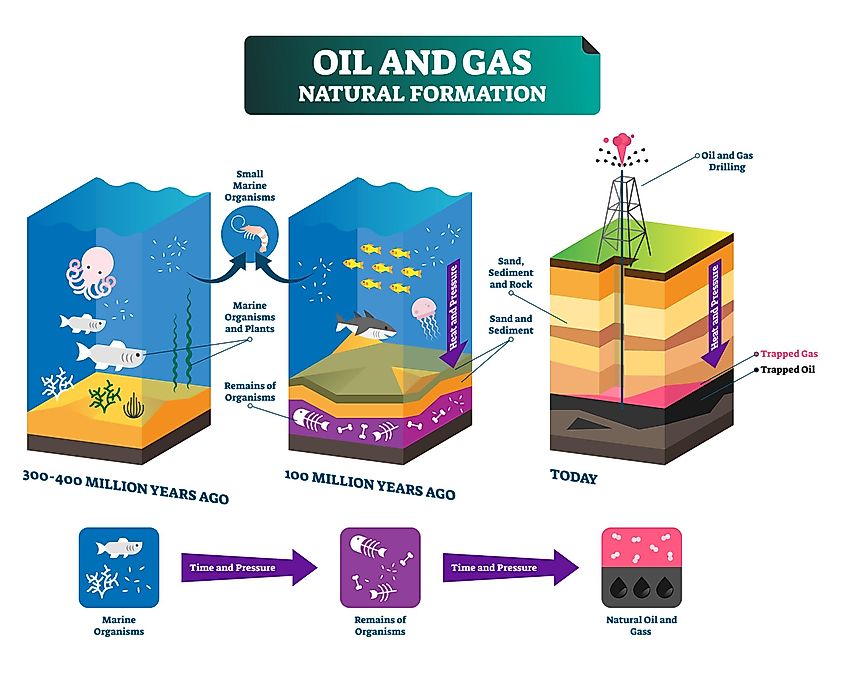 formation of fossil fuels diagram