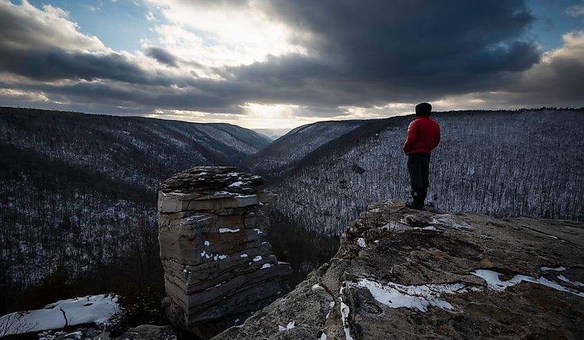A selfie atop Lindy Point overlooking the Blackwater Canyon of Blackwater Falls State Park in Davis, West Virginia.