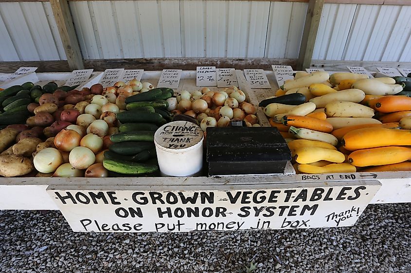 Produce is displayed for purchase at a roadside stand run on the honor system near Indianola, Iowa