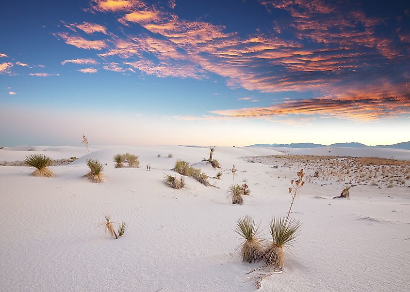 The White Sands are actually made of gypsum. 