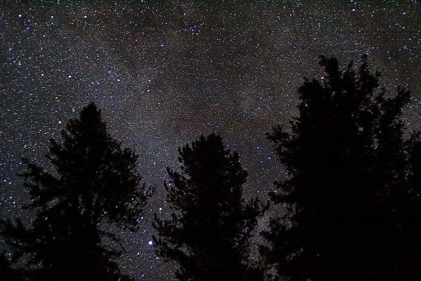 Starry night sky backdrop with silhouettes of three evergreen trees taken by Goose Lake in central Idaho.