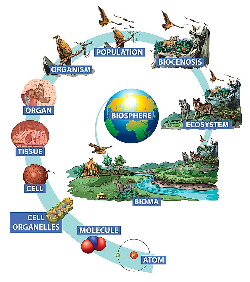 The Four Spheres Of The Earth WorldAtlas