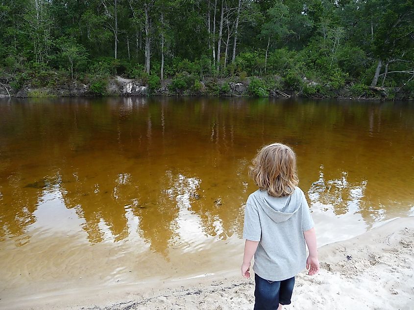 A young child stands on a sandy riverbank, gazing at the calm, tannin-stained waters of Blackwater River in Blackwater River State Park.