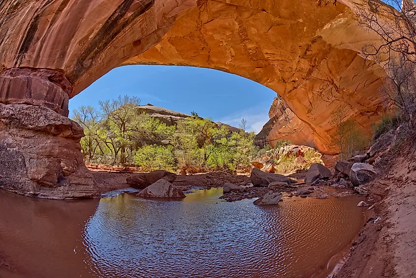The beautiful Natural Bridges National Monument in Utah.