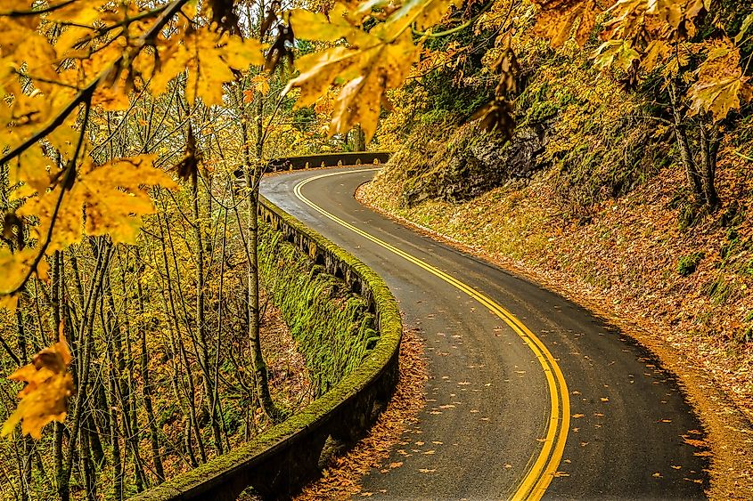 The Old Columbia River Highway winds through the Columbia River Gorge National Scenic Area in Oregon