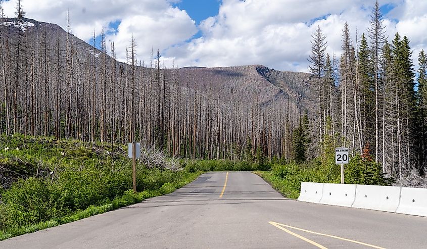 Akamina Parkway road in Waterton Lakes national Park in Canada.