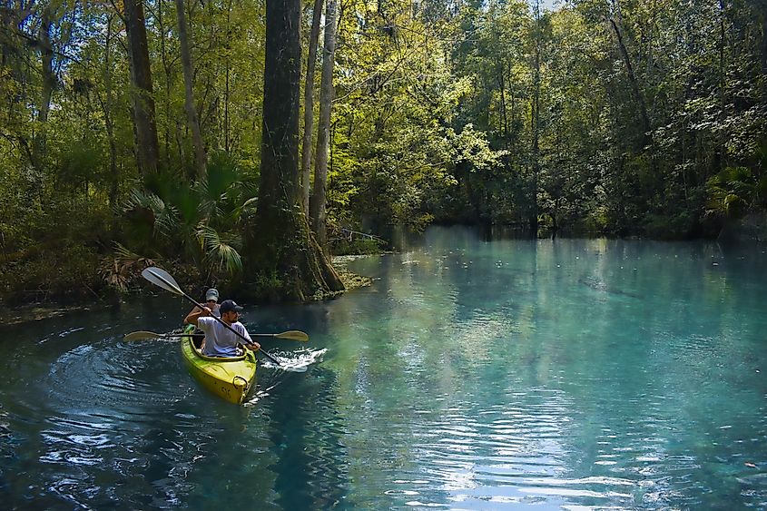 The turquoise waters of Silver Springs State Park in October. Editorial credit: SuJo Studios / Shutterstock.com