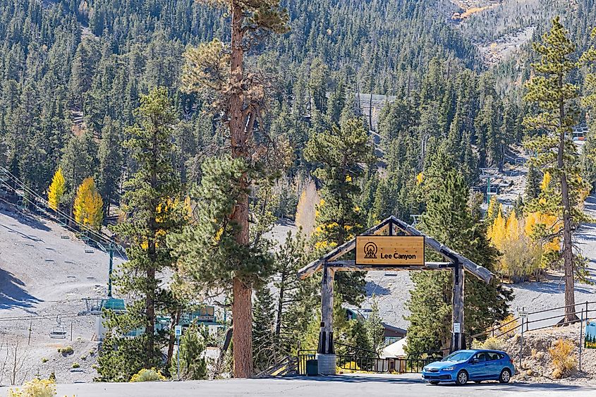 Sunny view of the fall color of Lee Canyon.