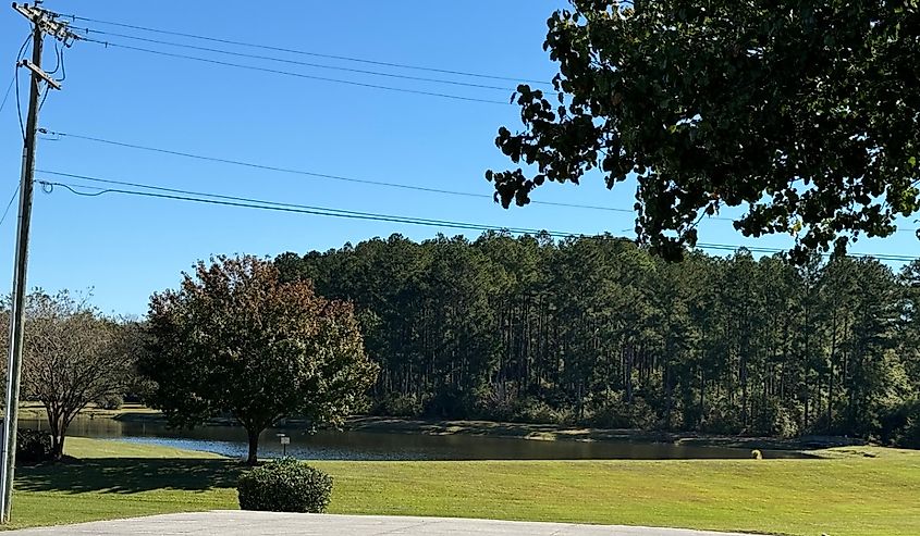 Pond behind community college and library in OPP, Alabama.