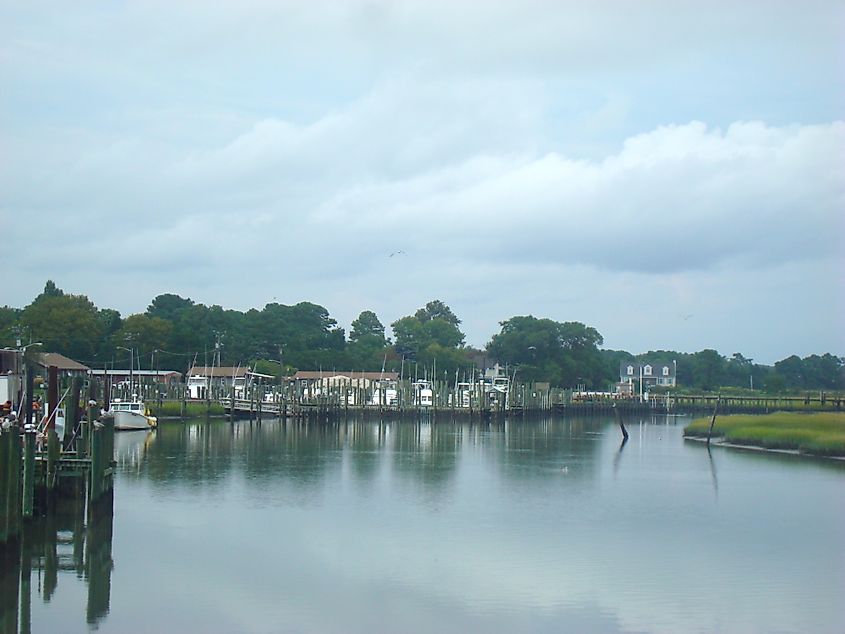 Salt marshes and fishing boats in Wachapreague, Virginia.